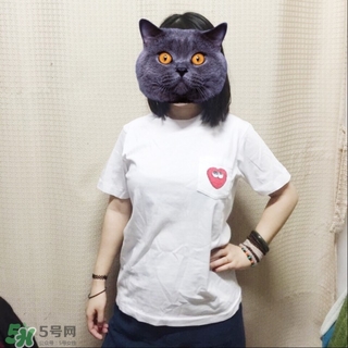 優(yōu)衣庫(kù)xKAWS合作系列衣服多少錢(qián)與試穿圖片