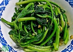 苕尖怎么摘？苕尖怎么擇