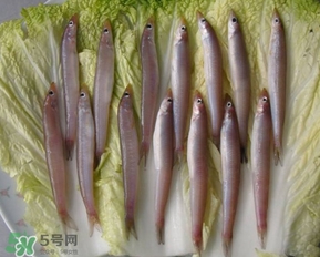 青島面條魚是什么魚？青島面條魚叫什么