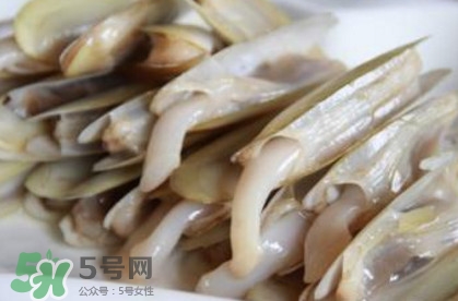 蟶子死了是什么樣子？死蟶子是什么樣子