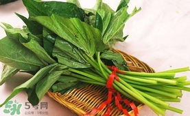 苕尖怎么炒？苕尖的做法