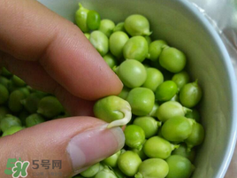 新鮮豌豆發(fā)芽了能吃嗎？豌豆發(fā)芽了還能吃嗎？