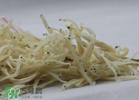 面條魚有什么營養(yǎng)？面條魚營養(yǎng)價值