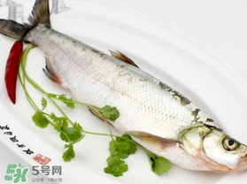 白條魚怎么做好吃？白條魚怎么吃好吃