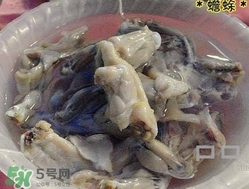 癩蛤蟆能吃嗎？癩蛤蟆可以吃嗎