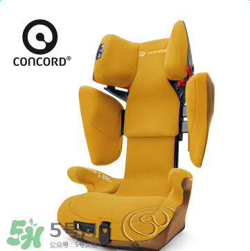concord中文是什么？concord的中文名字怎么翻譯？