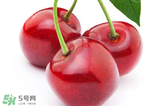 新鮮櫻桃如何保存？新鮮櫻桃能放多久？
