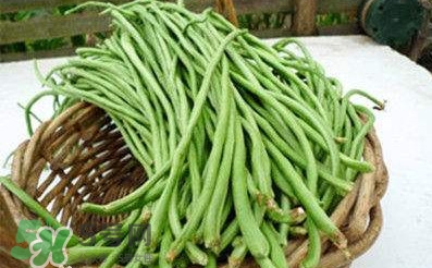 缸豆是豆角嗎？缸豆和豆角有什么區(qū)別