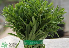 救心菜有毒嗎？救心菜怎么吃沒毒？