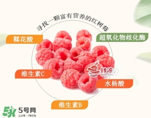樹莓可以生吃嗎？樹莓怎么吃？