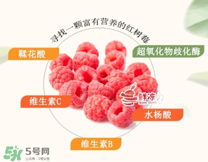 樹(shù)莓怎么保存？樹(shù)莓保存方法