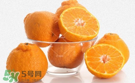 丑八怪水果多少錢一斤？不知火雜柑一斤多少錢