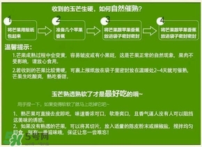 貴妃芒果硬的能吃嗎？貴妃芒果青的能吃嗎
