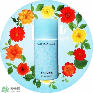 蘇菲娜藍(lán)蕾絲和藍(lán)小花哪個(gè)好？蘇菲娜藍(lán)蕾絲和藍(lán)小花對(duì)比