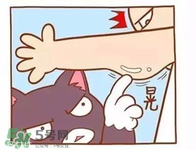 天鵝臂是什么？天鵝臂有用嗎