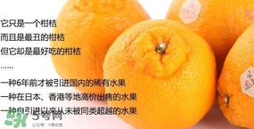 丑八怪水果多少錢一斤？不知火雜柑一斤多少錢