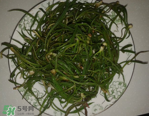 陽溝菜孕婦可以吃嗎？孕婦能吃陽溝菜嗎？