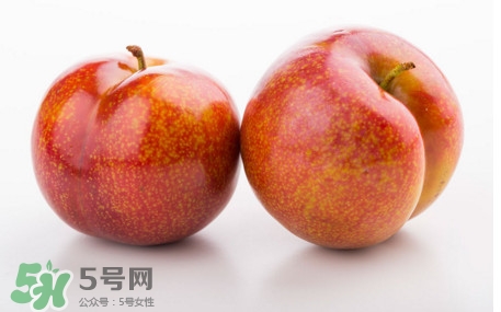 三華李孕婦可以吃嗎？三華李孕婦能吃嗎