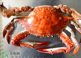 六月份有螃蟹嗎？六月份吃什么螃蟹？