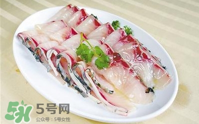 生魚是什么魚？生魚片是什么魚