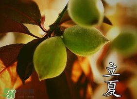 立夏吃什么水果？立夏吃什么水果好？