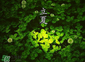 立夏吃什么水果？立夏吃什么水果好？