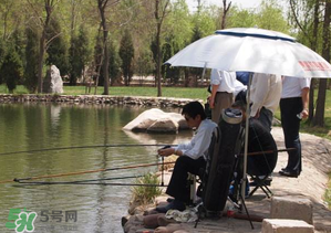 立夏好釣魚嗎？立夏怎么釣魚？