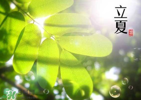 立夏和夏至有什么區(qū)別？立夏和夏至的區(qū)別