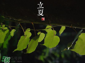 2017年立夏會下雨嗎？2017年立夏下雨好嗎？