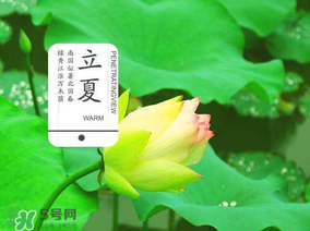2017年立夏會下雨嗎？2017年立夏下雨好嗎？