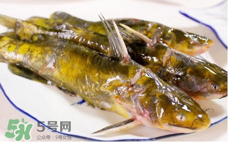 嘎魚孕婦能吃嗎？孕婦可以吃嘎魚嗎