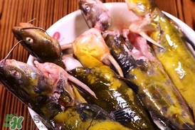 嘎魚孕婦能吃嗎？孕婦可以吃嘎魚嗎