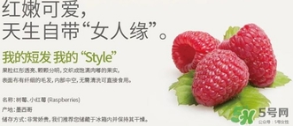 樹莓可以放冰箱嗎？樹莓可以保存幾天