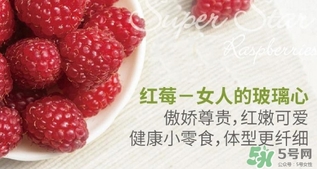 樹(shù)莓可以放冰箱嗎？樹(shù)莓可以保存幾天