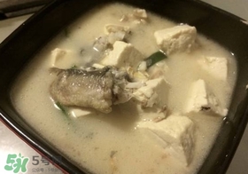 黑魚能和豆腐一起吃嗎？豆腐可以和黑魚一起吃嗎
