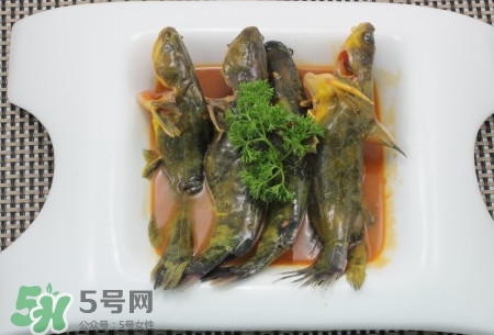 嘎魚不適合什么人吃？黃顙魚不適合什么人吃