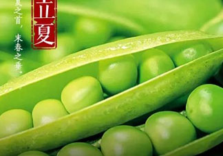 立夏吃什么好？立夏吃什么蔬菜？