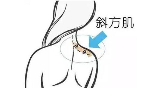 天鵝頸是什么樣的？天鵝頸怎么練？