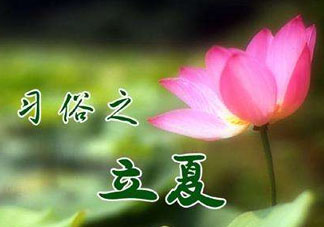 立夏和夏至有什么區(qū)別？立夏和夏至的區(qū)別