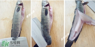 黑魚(yú)怎么切片？黑魚(yú)如何切魚(yú)片