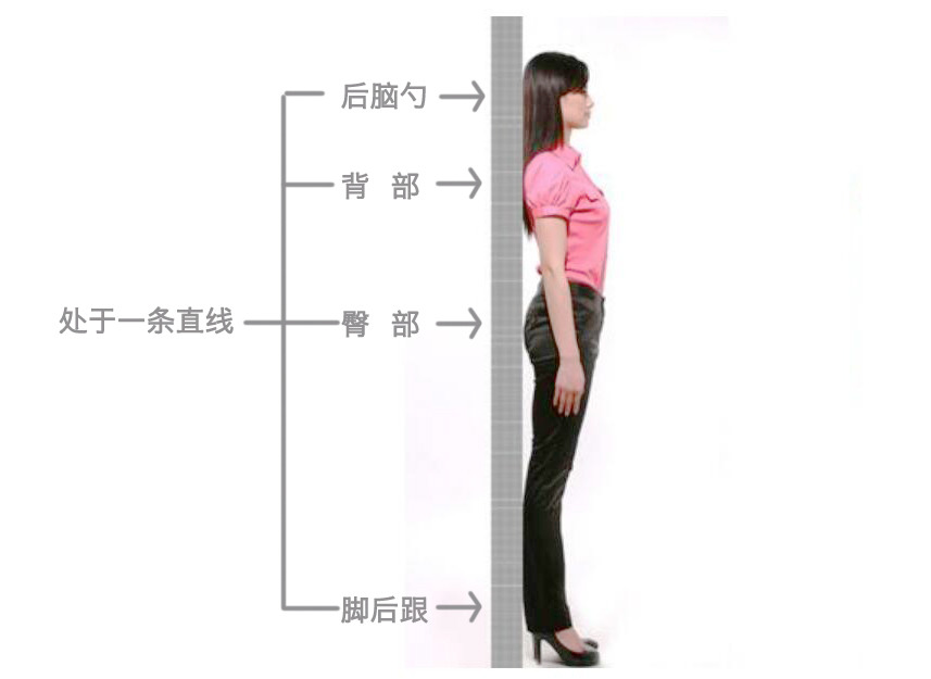 天鵝頸是什么樣的？天鵝頸怎么練？