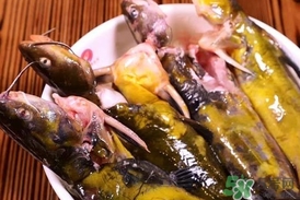 嘎魚(yú)是鯰魚(yú)嗎？嘎魚(yú)是黃辣丁嗎