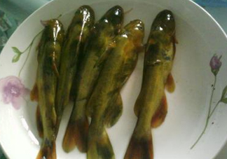 嘎魚(yú)是海魚(yú)嗎？嘎魚(yú)是什么魚(yú)