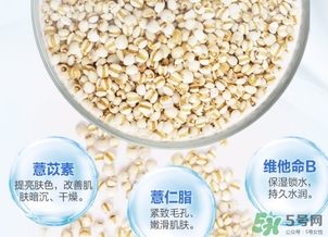 薏仁水可以天天敷嗎？薏仁水幾天敷一次？