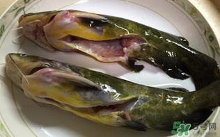 黃辣丁一斤多少錢？黃辣丁價(jià)格