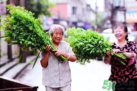 端午節(jié)為什么掛艾草？端午節(jié)掛艾草的由來(lái)