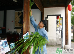 端午節(jié)門上掛的那個(gè)草叫什么？端午節(jié)掛門上的叫什么？