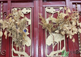端午節(jié)門上掛的那個(gè)草叫什么？端午節(jié)掛門上的叫什么？