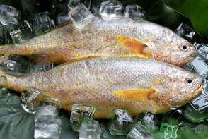 端午節(jié)為什么要吃黃魚？端午節(jié)吃黃魚的由來