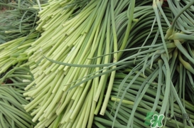 蒜薹怎么保存？蒜薹如何保存